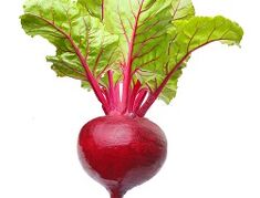 膵炎に効く野菜